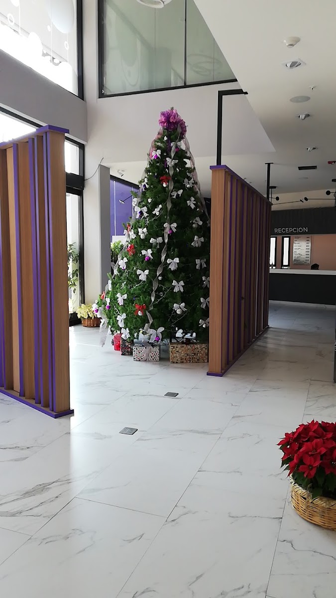Hotel Quinto Elemento - Love Suites photo 3