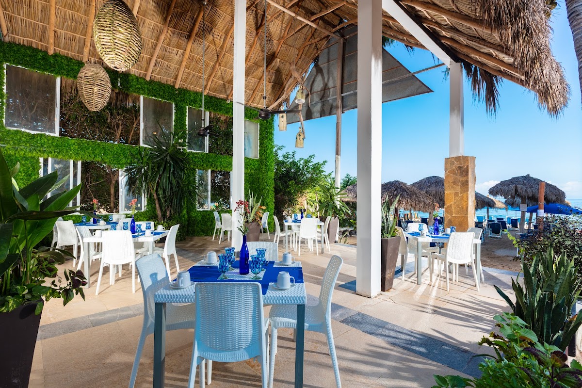 Blue Chairs Beachfront Resort Puerto Vallarta