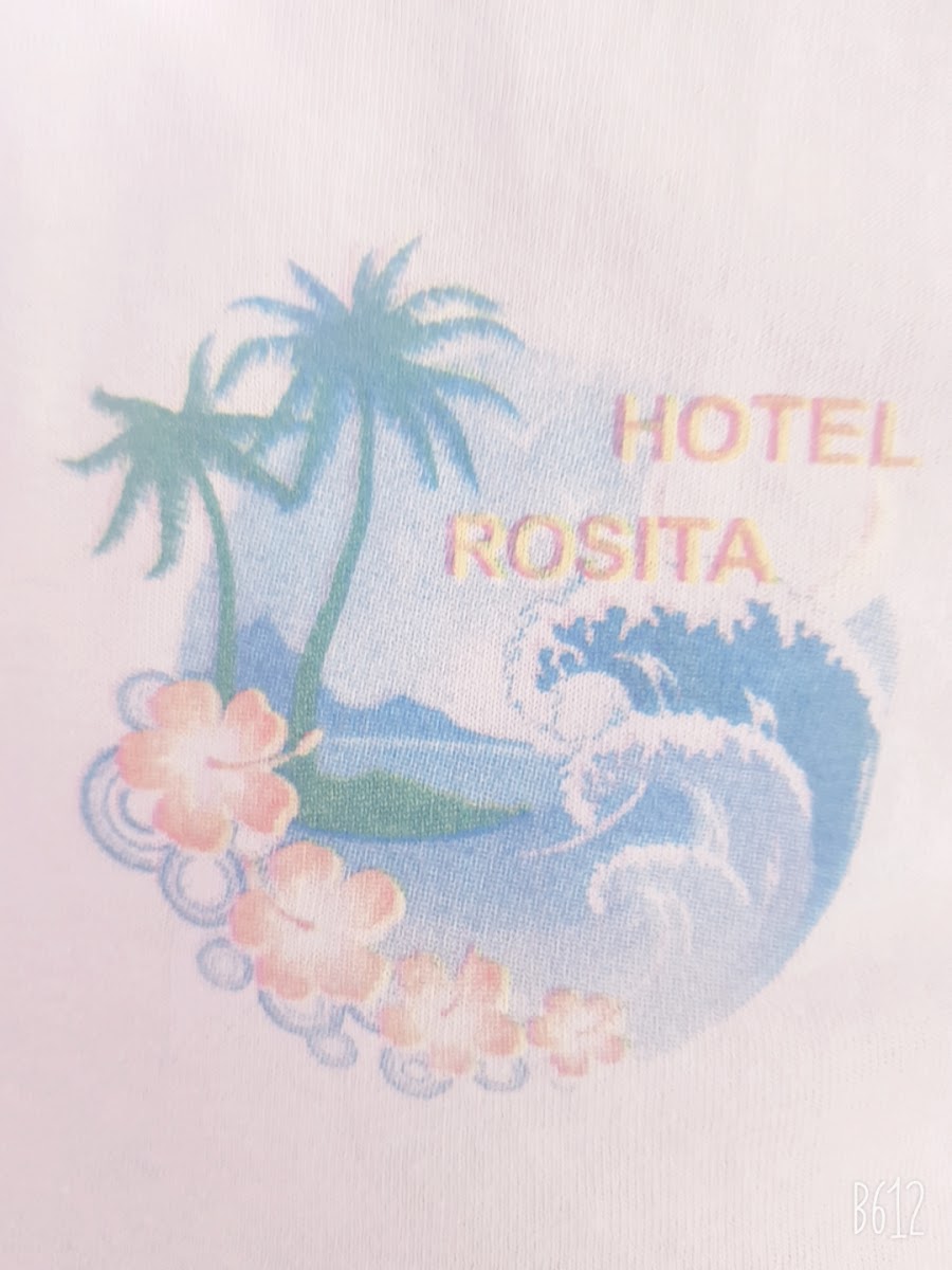 Hotel la Rosita photo 2