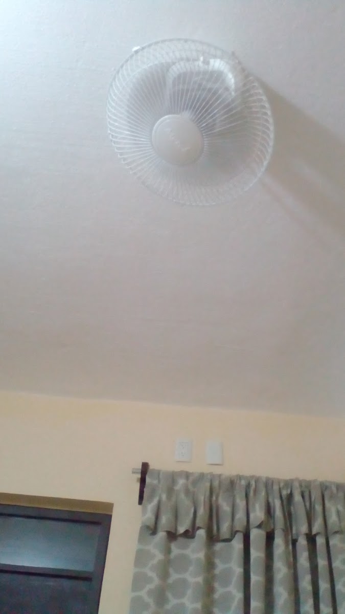 Pozada Almarth photo 3