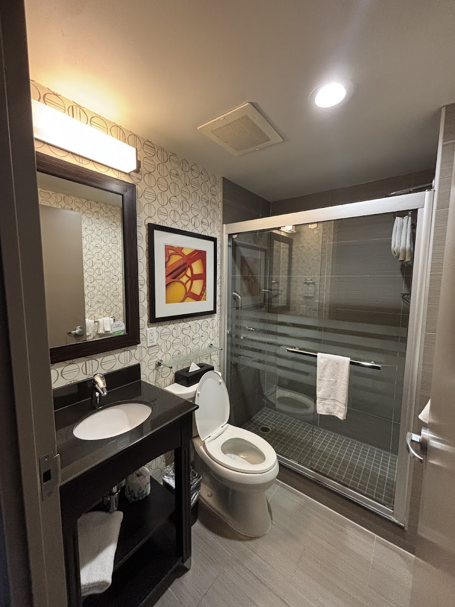 Holiday Inn Nyc - Lower East Side by IHG photo 2