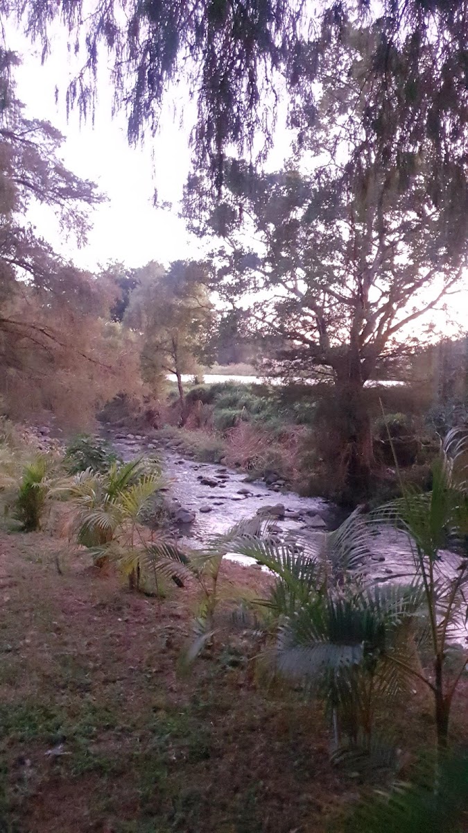 QUINTA LA ESCONDIDA photo 3