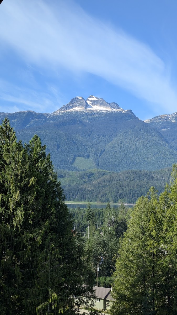 Revelstoke Mountain Resort photo 3
