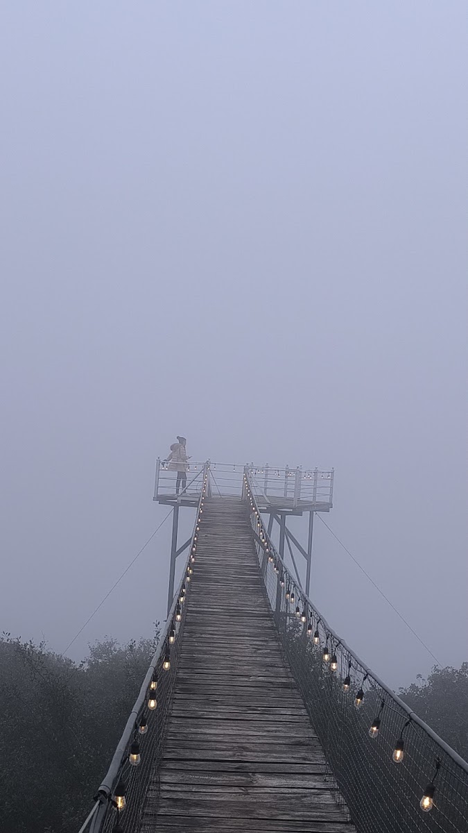 Mirador Cerro Palma