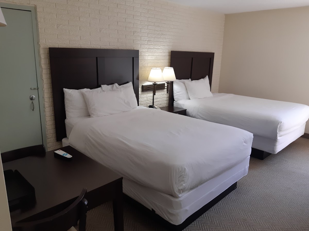 Inns of Virginia - Arlington photo 3