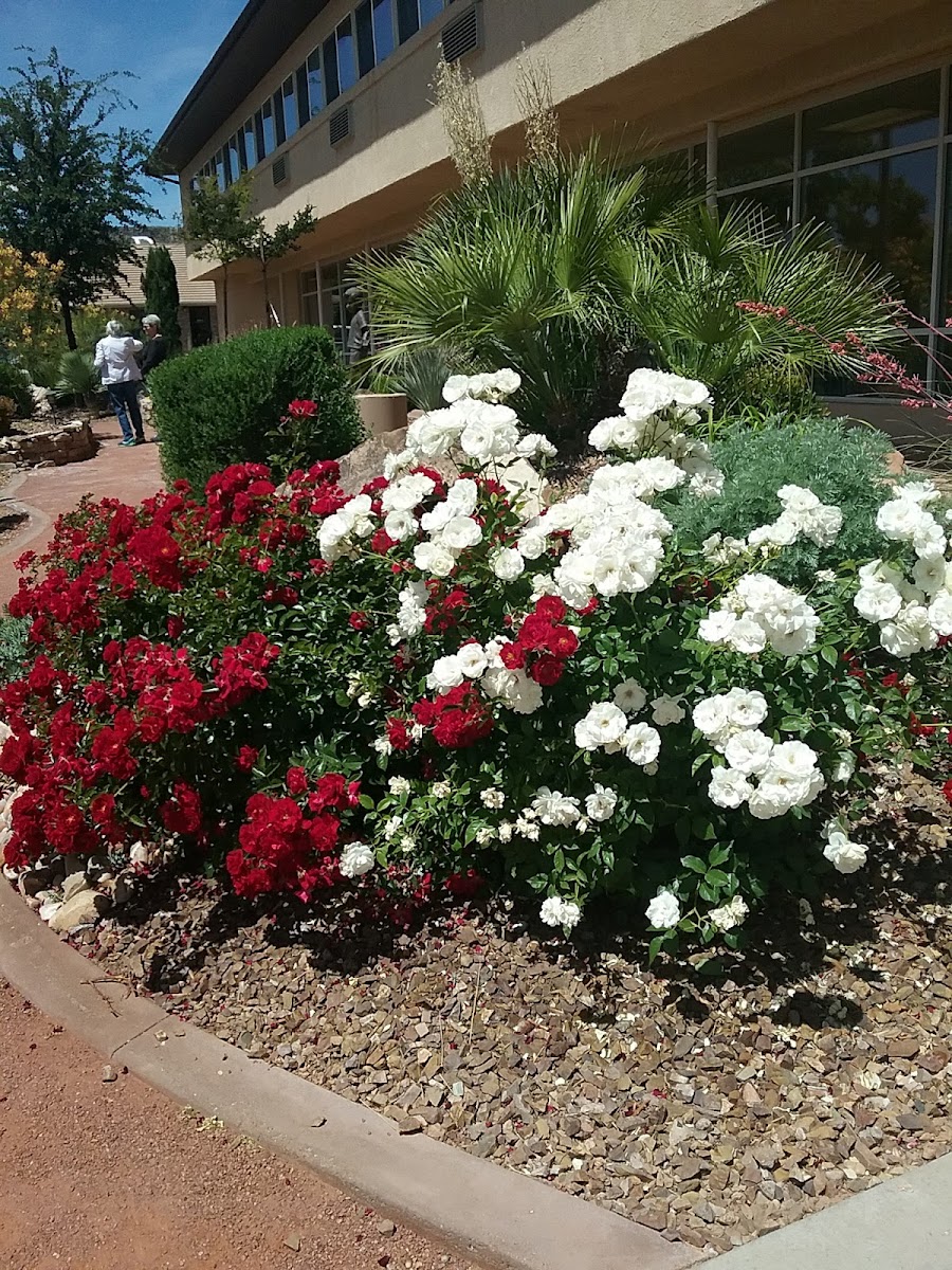 University Inn 'College Inn' photo 3