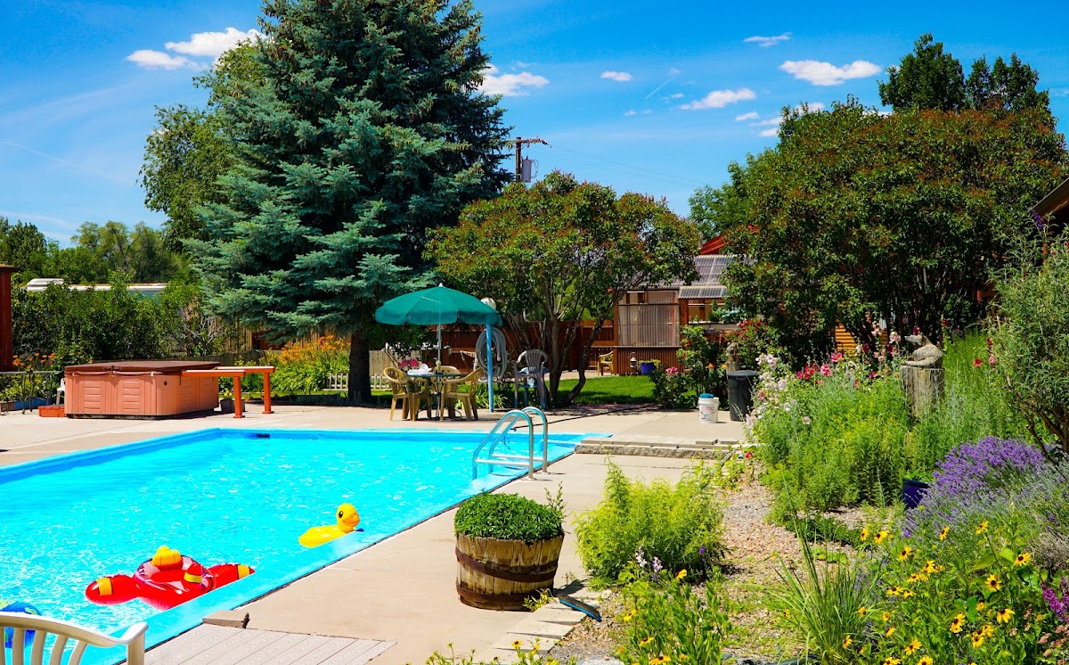 Country Lodge photo 3