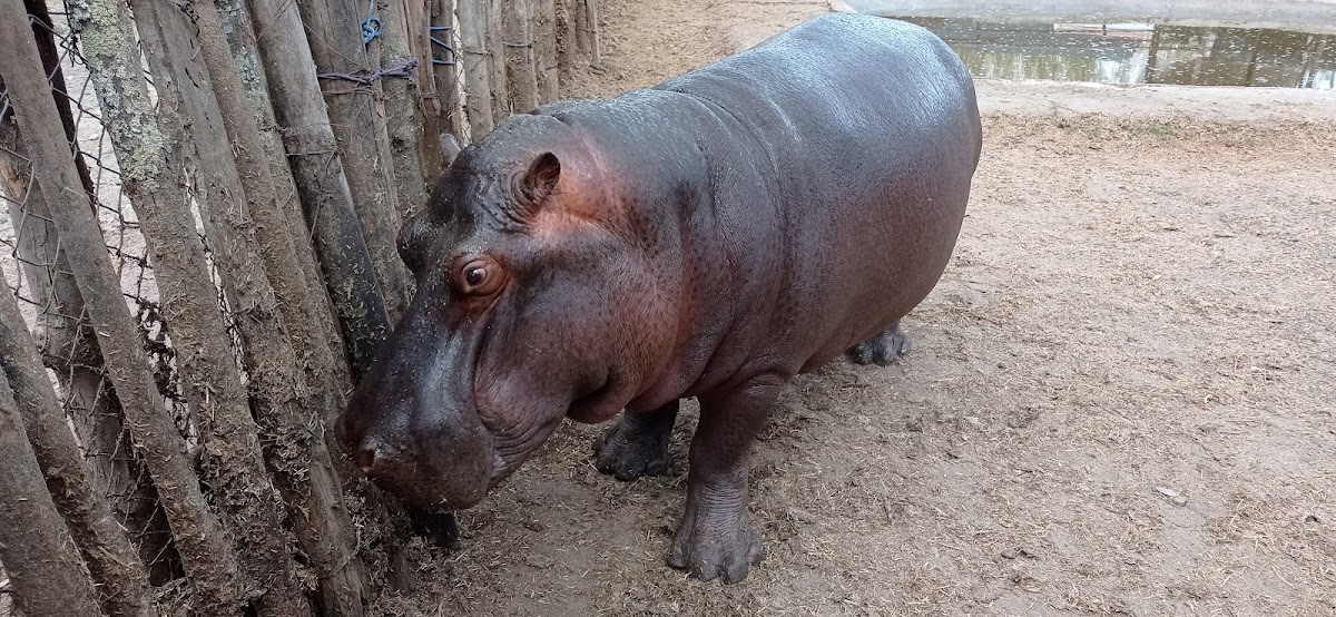 Parque Zoológico Moroleón