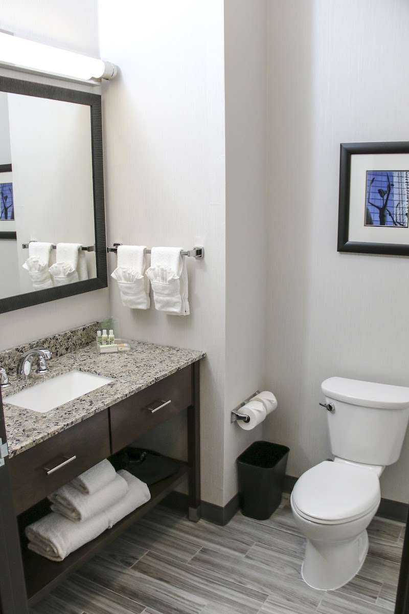 Holiday Inn & Suites Denver Tech Center-Centennial by IHG photo 3