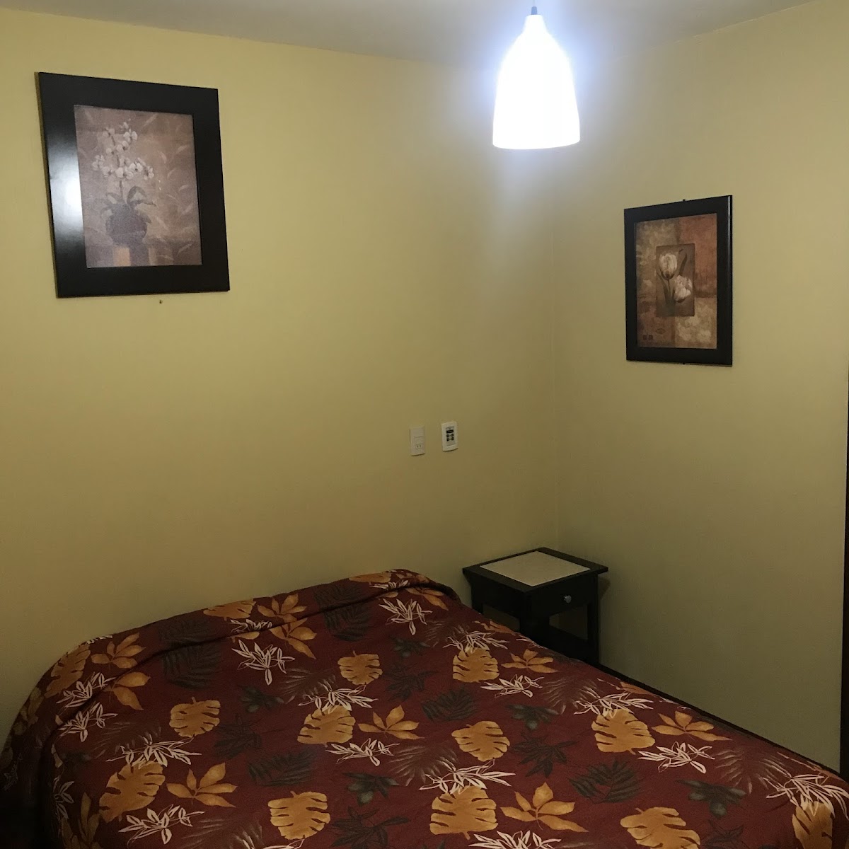 Hotel Damaris photo 3