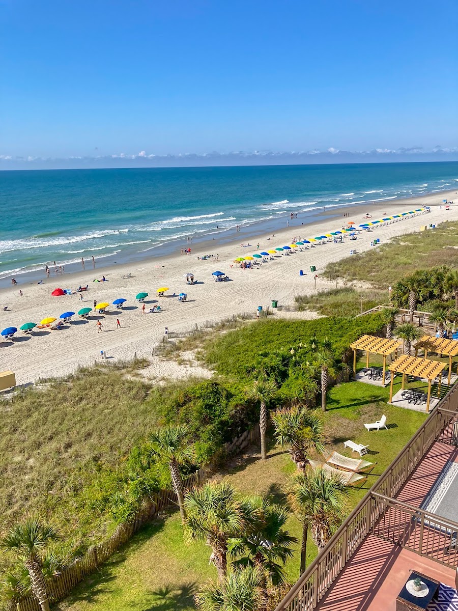 The Caravelle Resort