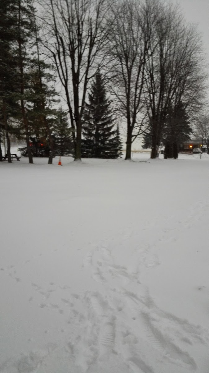 Motel Au Bord Du Lac photo 2