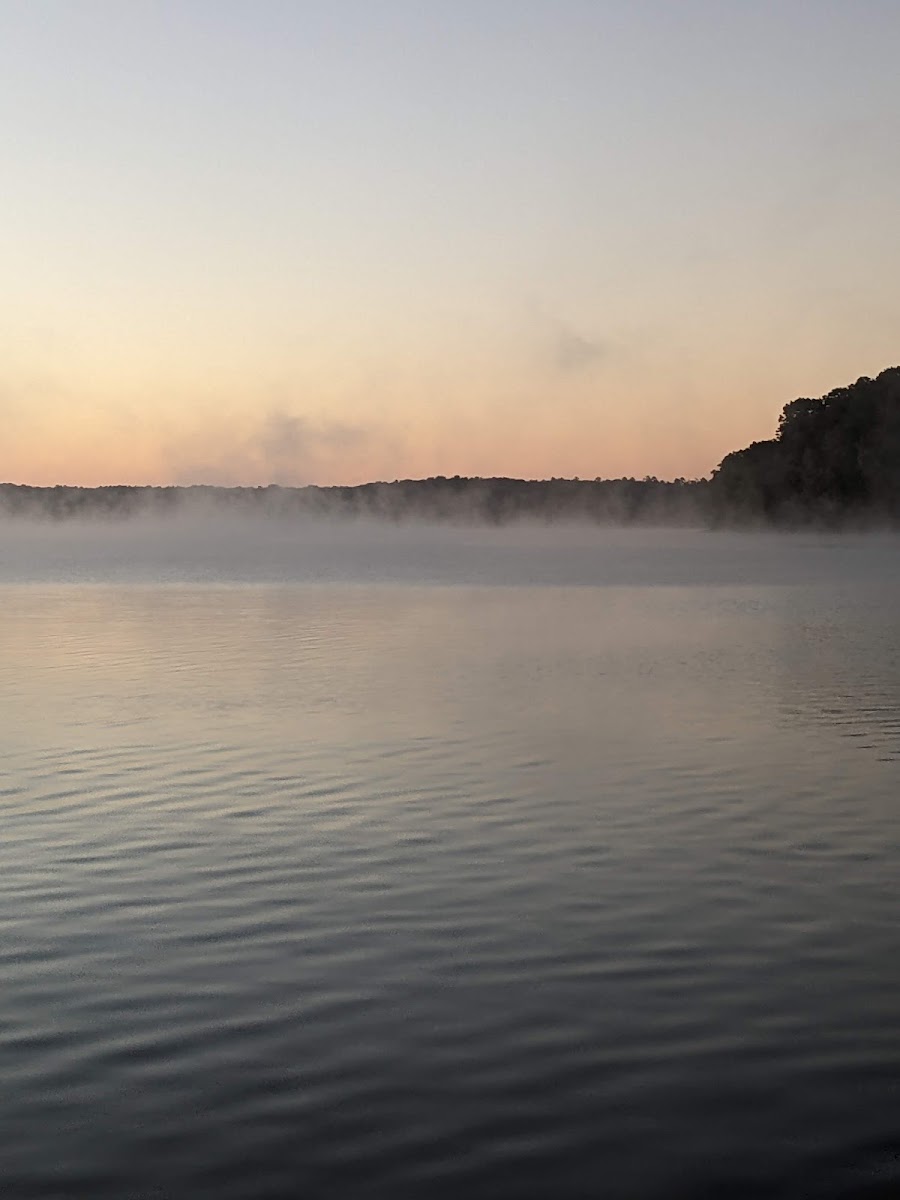 Irvin Cobb Resort photo 3