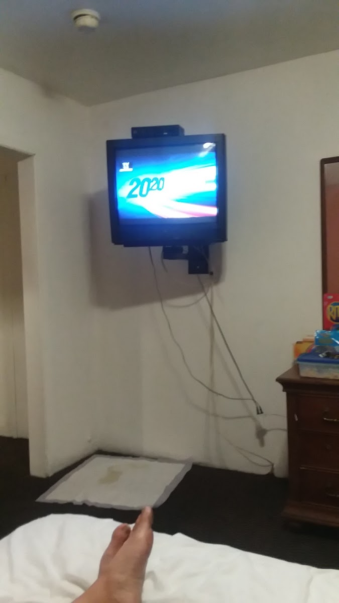 San Bernardino Motel photo 3