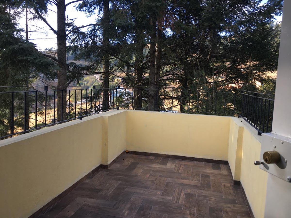 Cabañas Mariposa Monarca