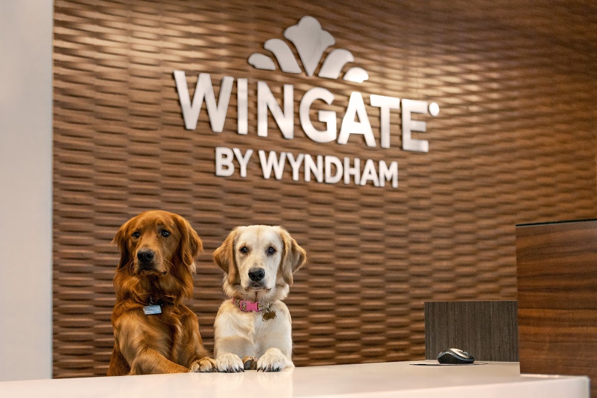 Wingate by Wyndham Lethbridge photo 3