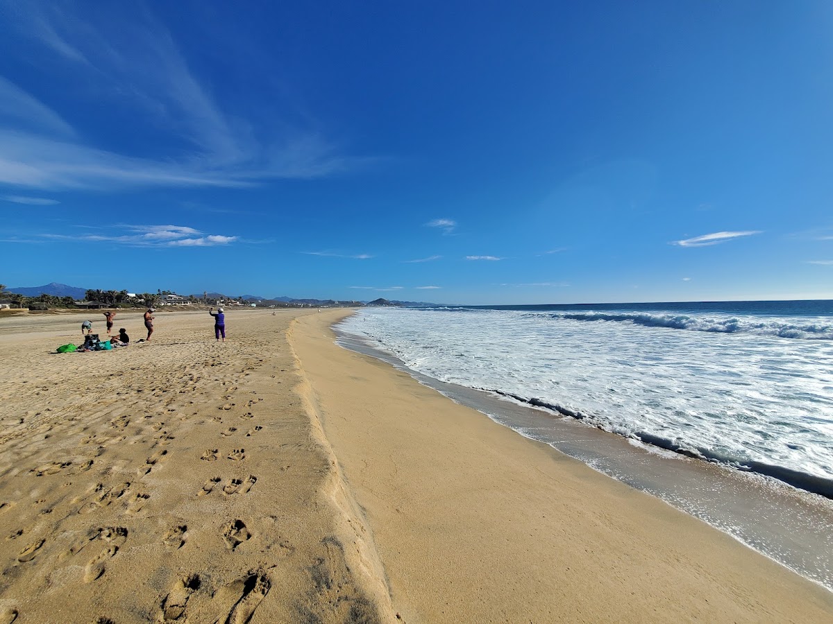 Las Palmas Tropicales photo 2