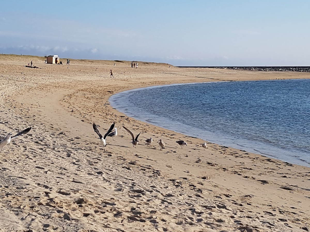 Praia do Cabedelo