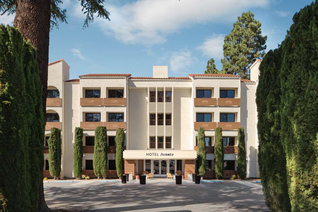 Hotel Avante - JDV by Hyatt