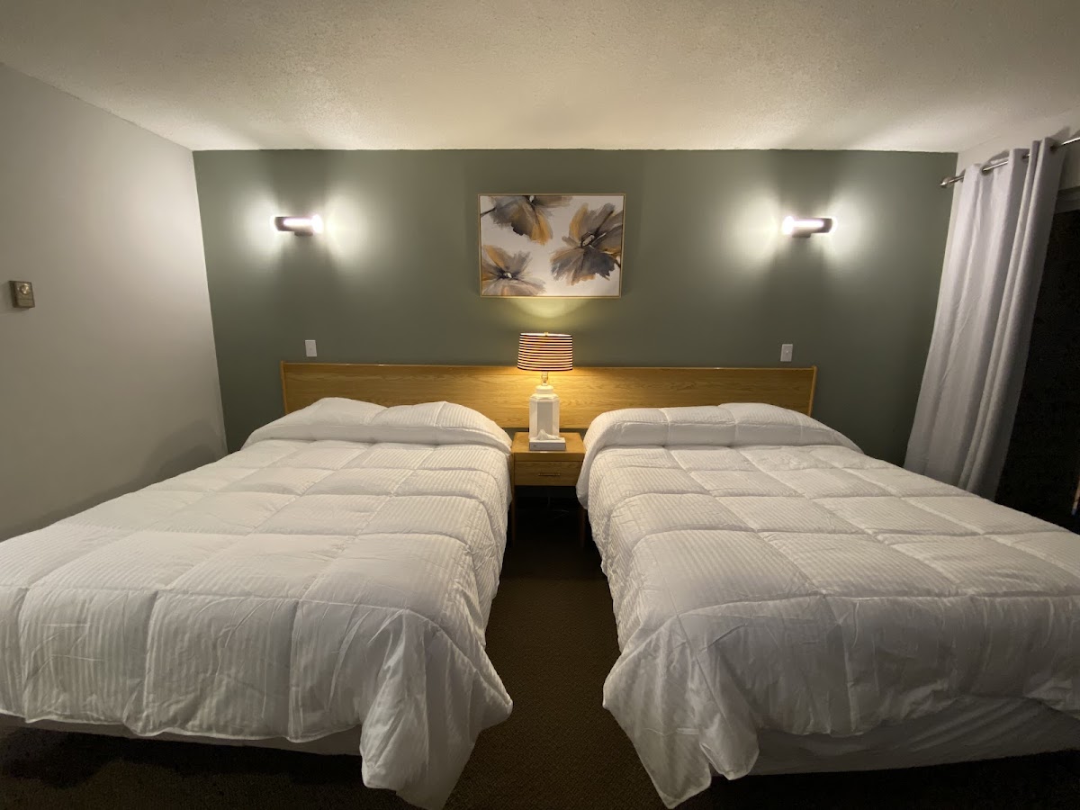 The Hillview Guest Rooms photo 2