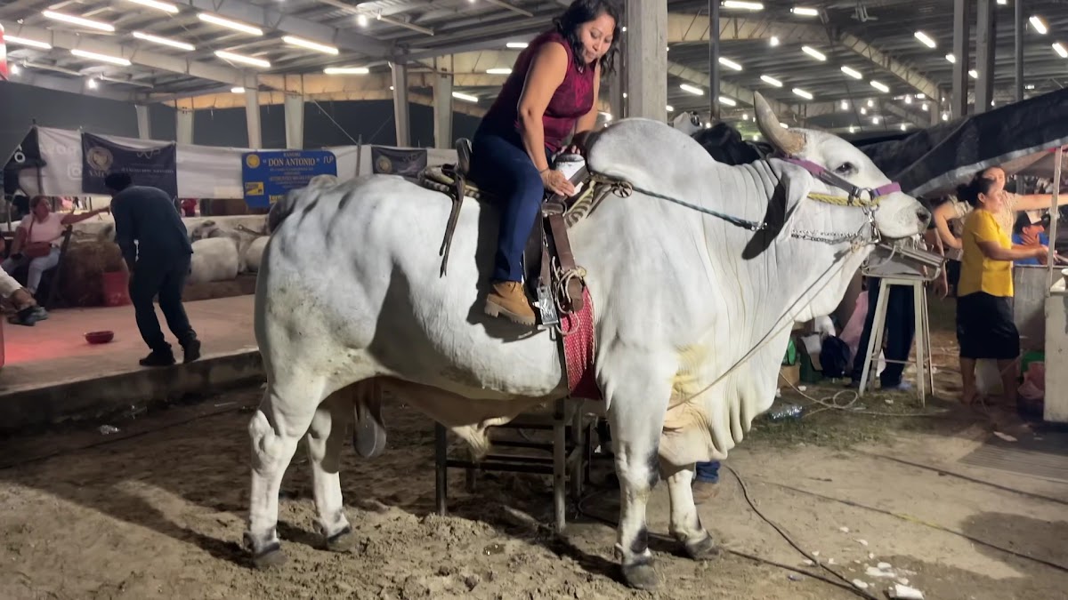 Expo Feria Tizimin Yucatan