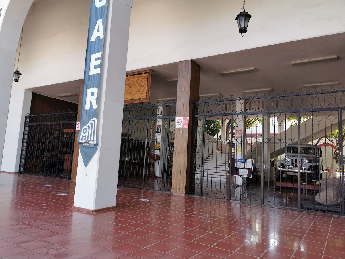 Museo 