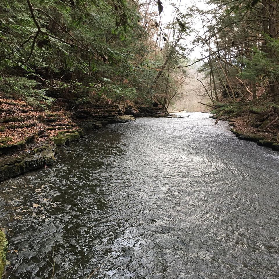 Evins Mill Resort & Retreat photo 3