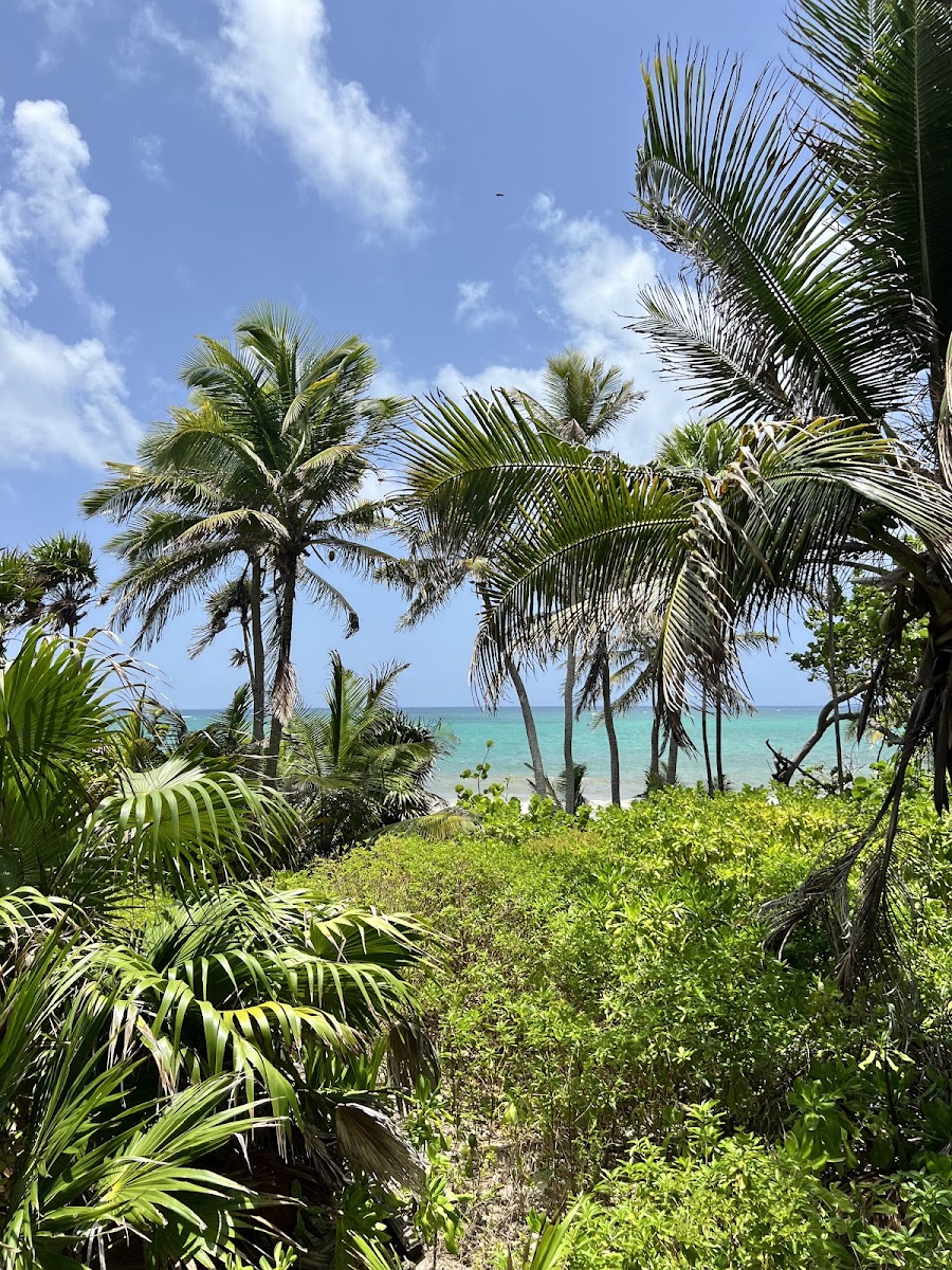 Ek Lum Tulum photo 2