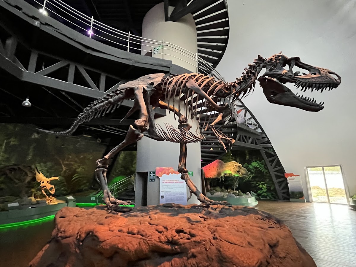 Museum of Evolution Tehuacán
