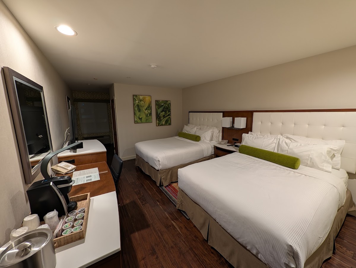 Hotel Indigo Anaheim, an IHG Hotel photo 3