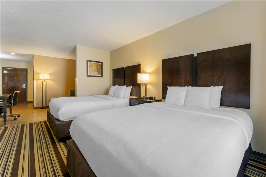Comfort Inn & Suites Triadelphia - Wheeling photo 2