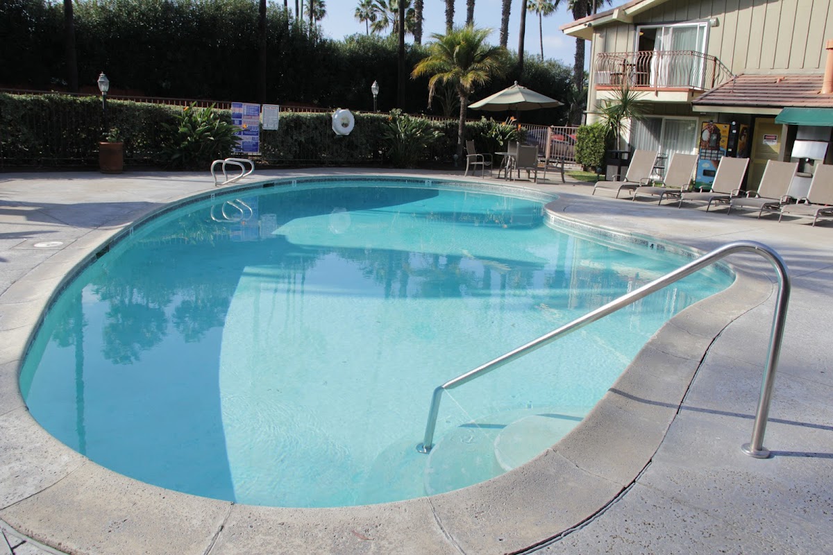 Hotel Iris photo 3