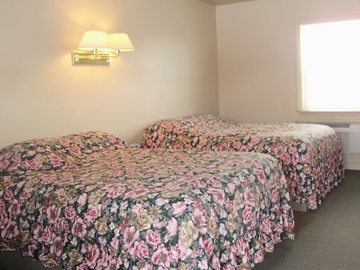 Avon River Motel photo 2