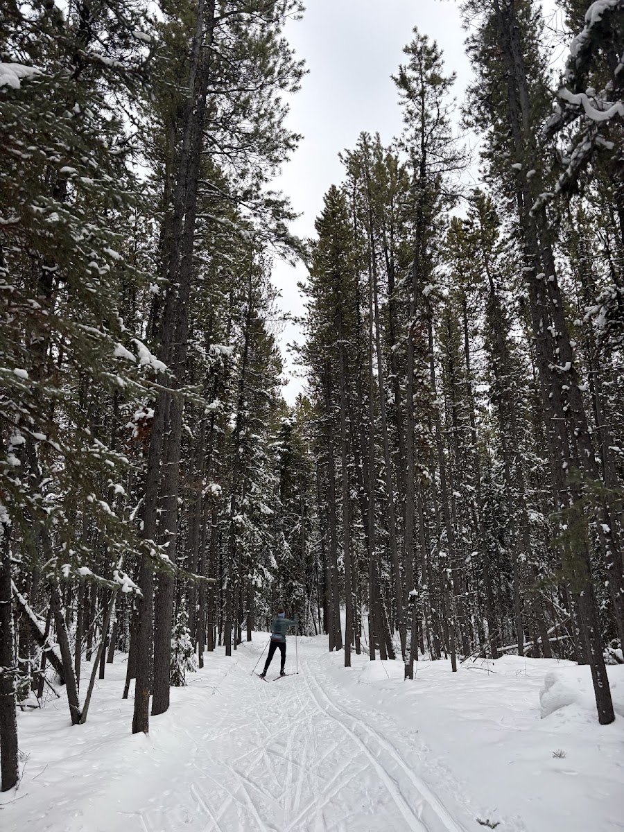 Whitehorse Nordic Centre
