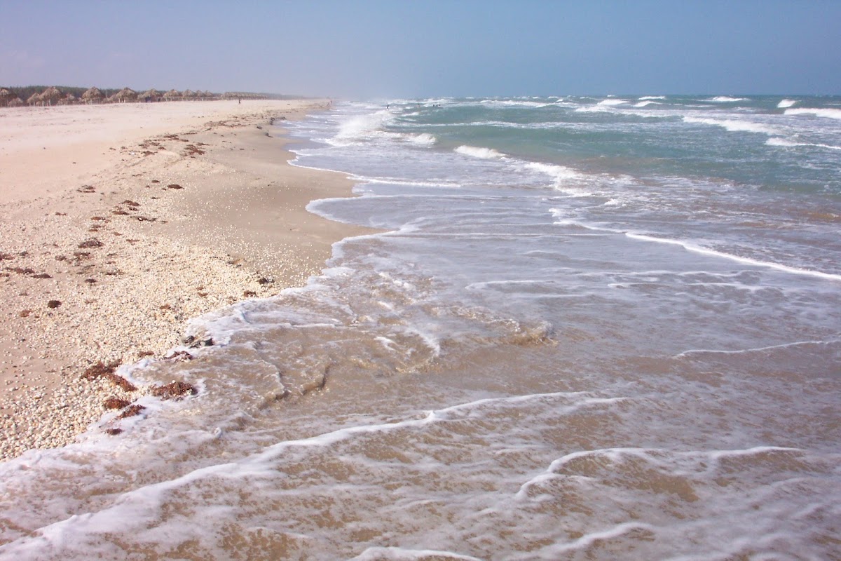 PLAYA LA PESCA TAMPS.