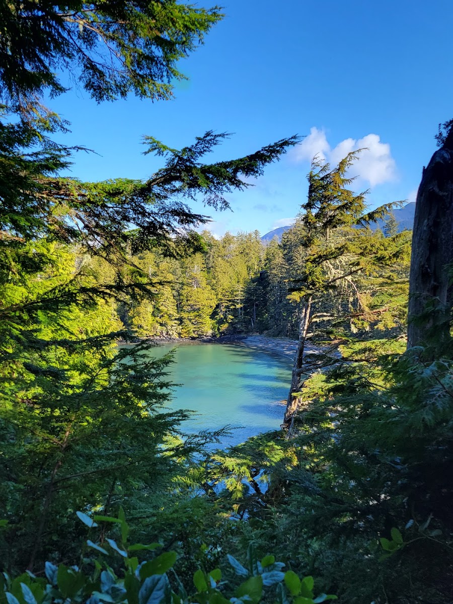 Terrace Beach Resort Ucluelet photo 3