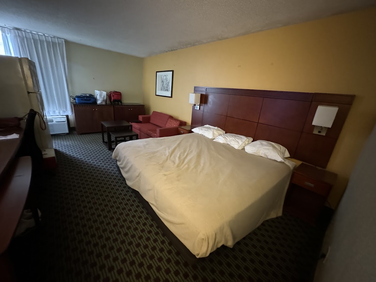 Room 8