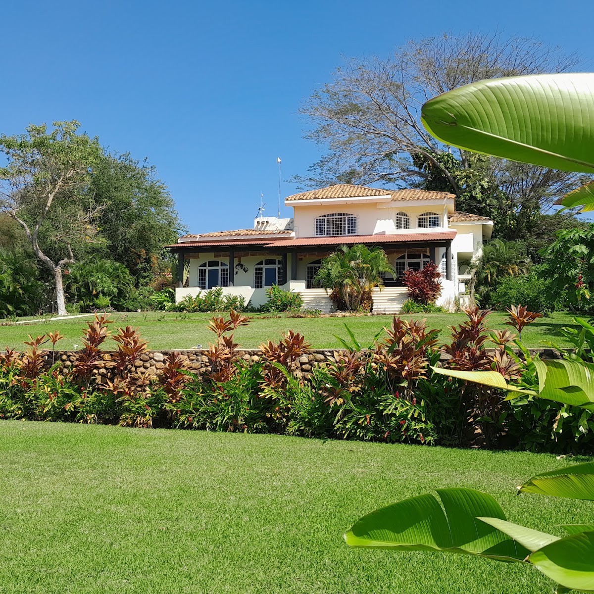Casa Ceiba photo 3