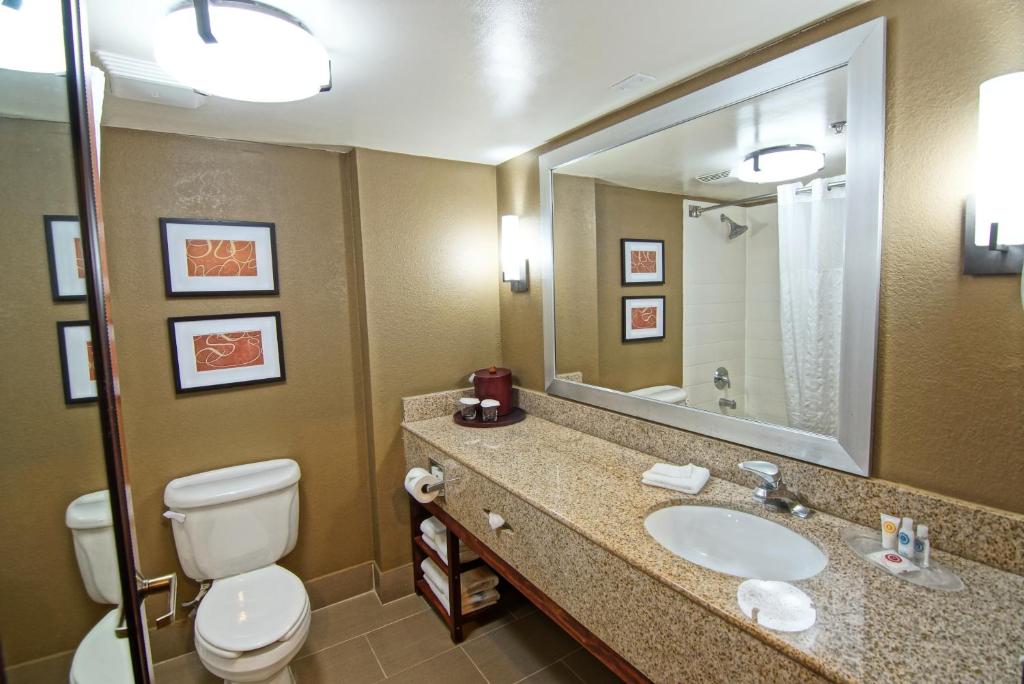 Comfort Suites Near University photo 3