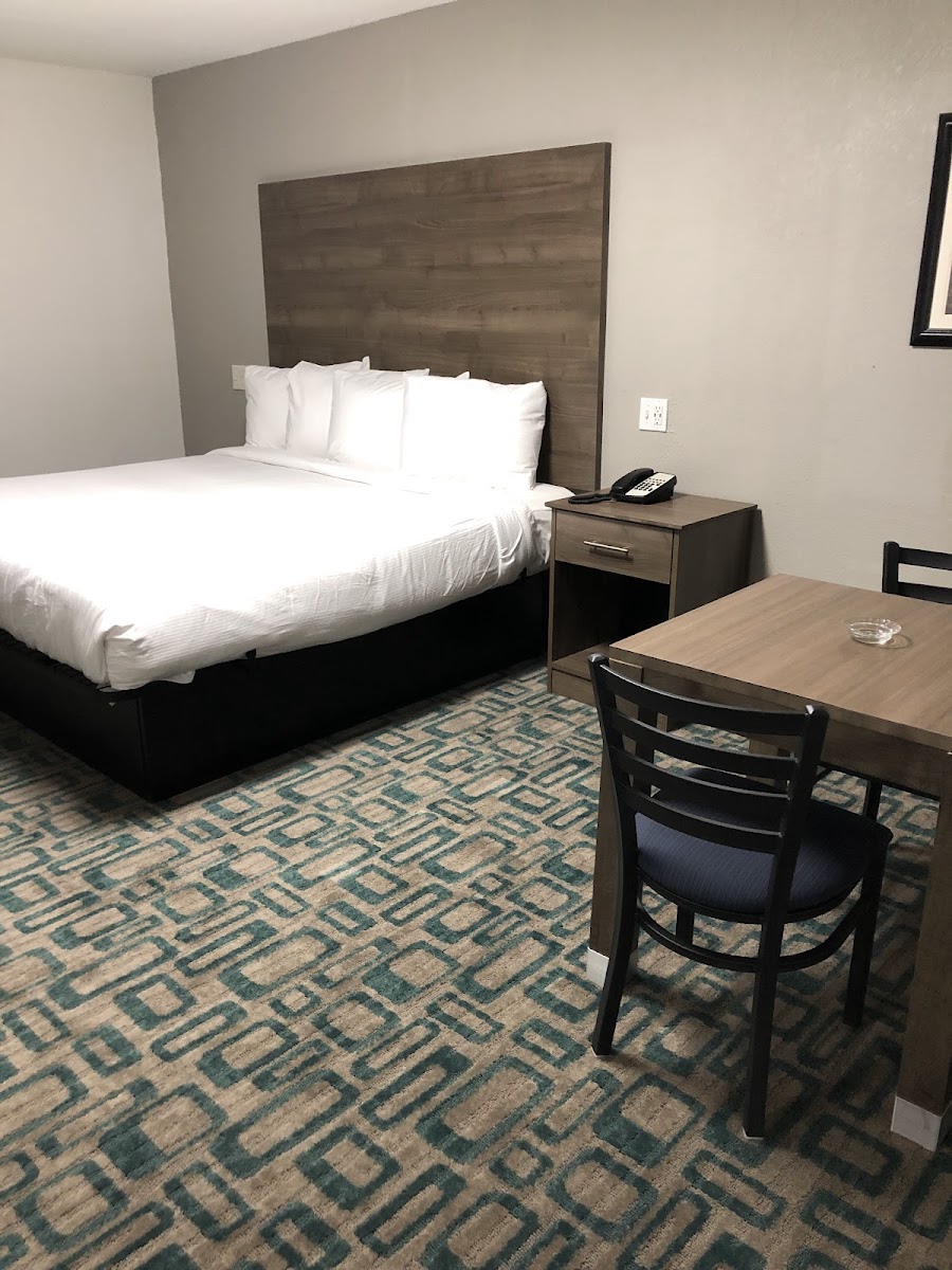 Room 1