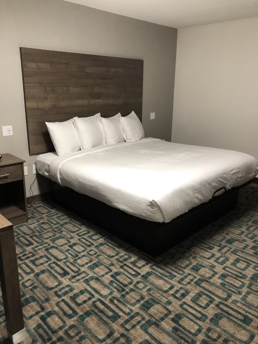 Room 4