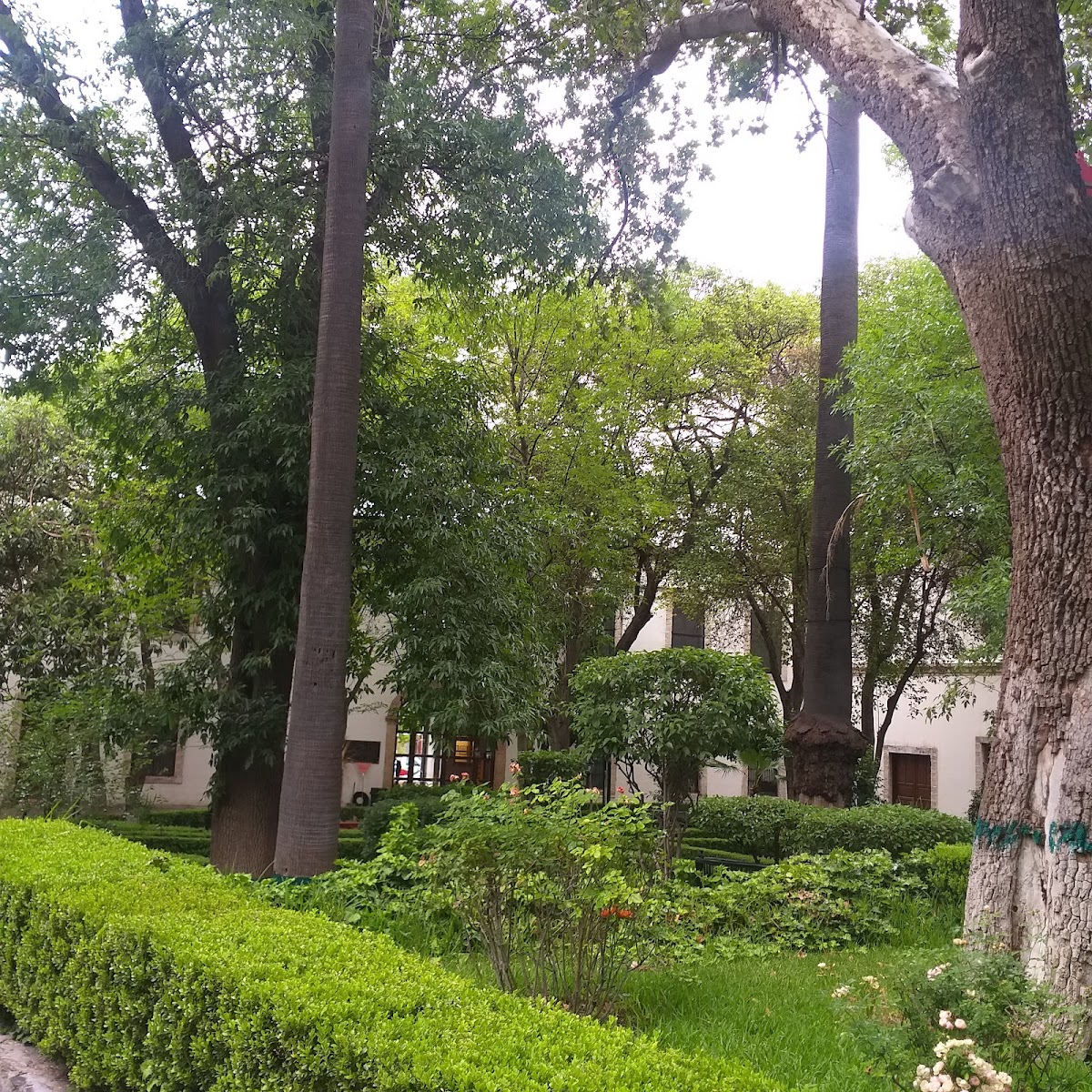 Hotel Saade Saltillo photo 2