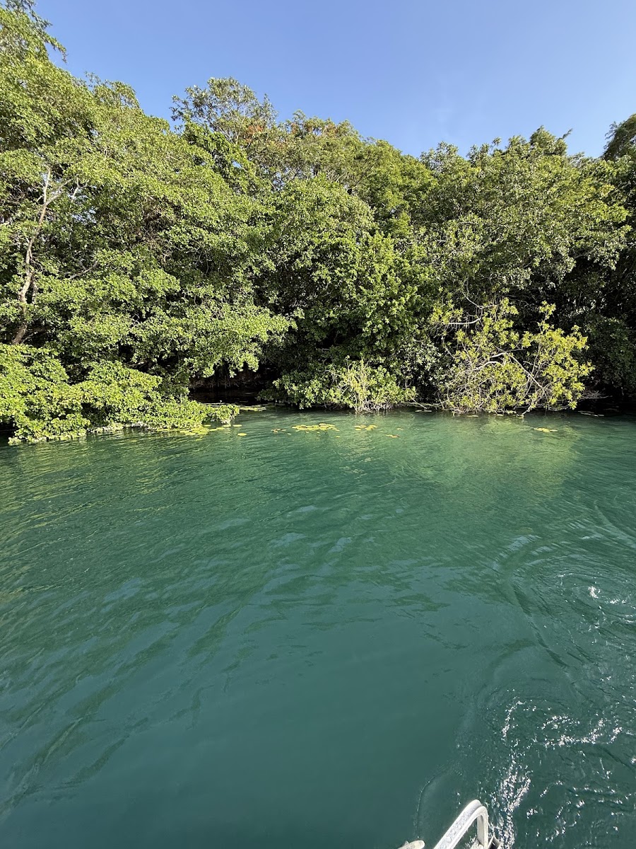 Casa China Bacalar photo 3