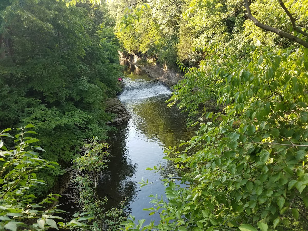 Kankakee River State Park