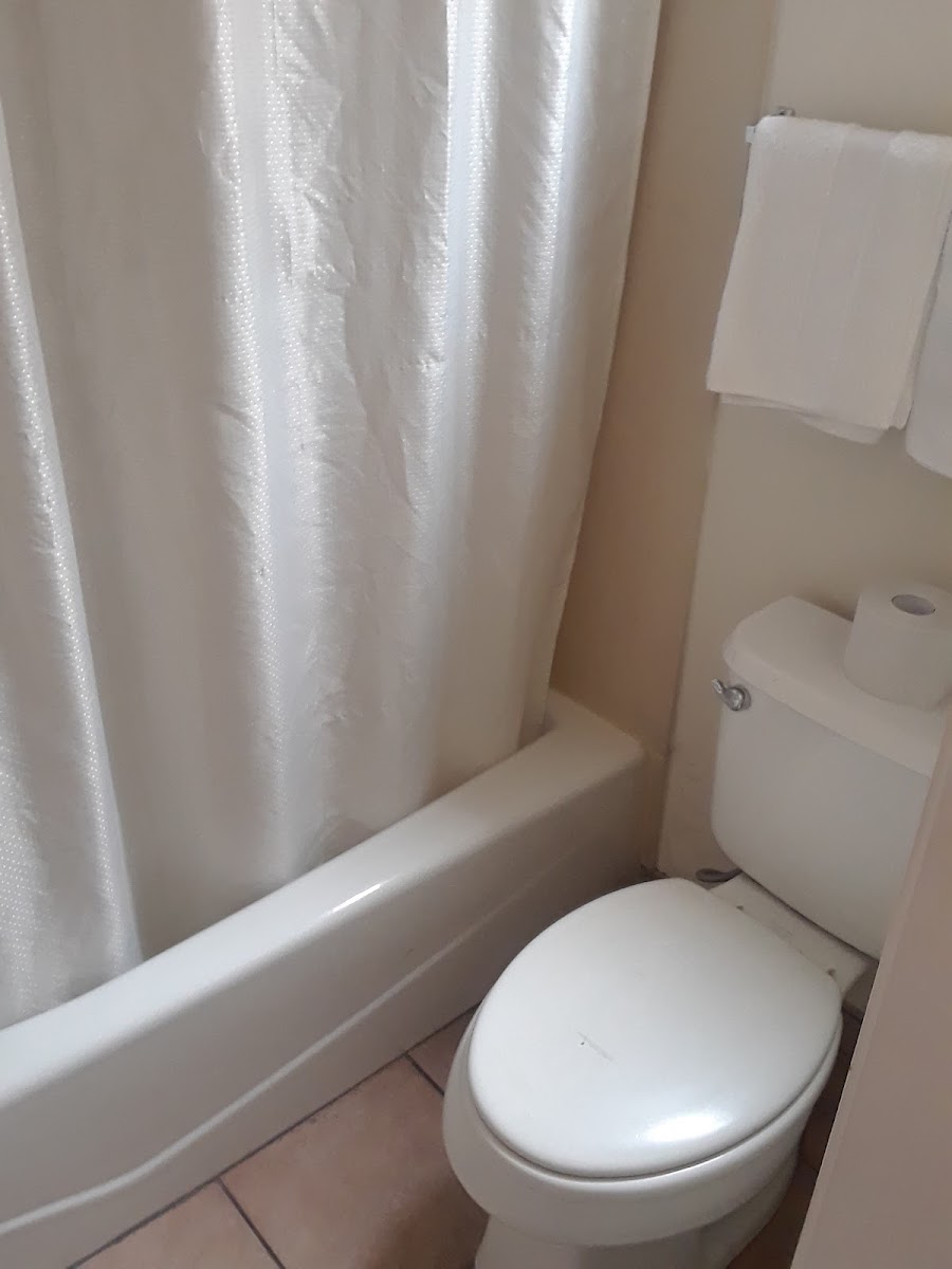 Room 4