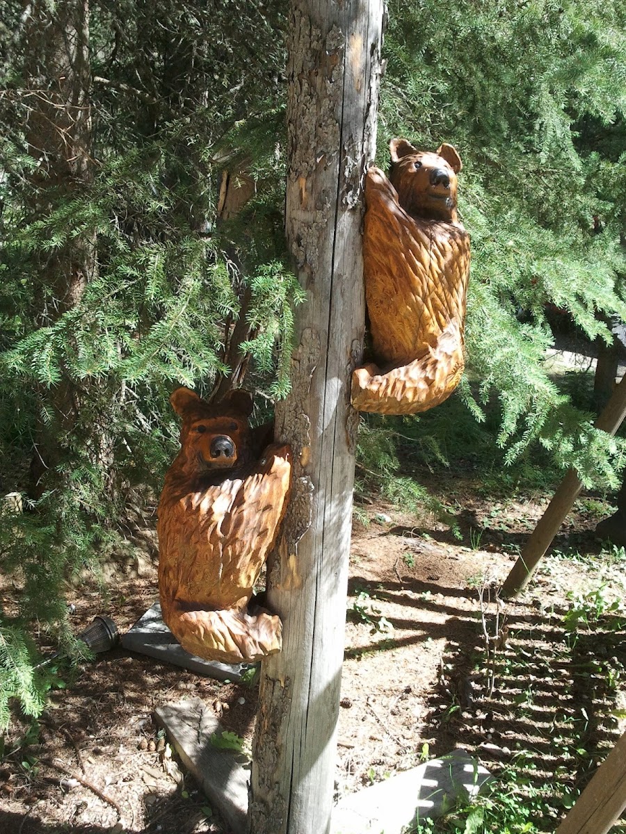 Anastara Acres photo 3