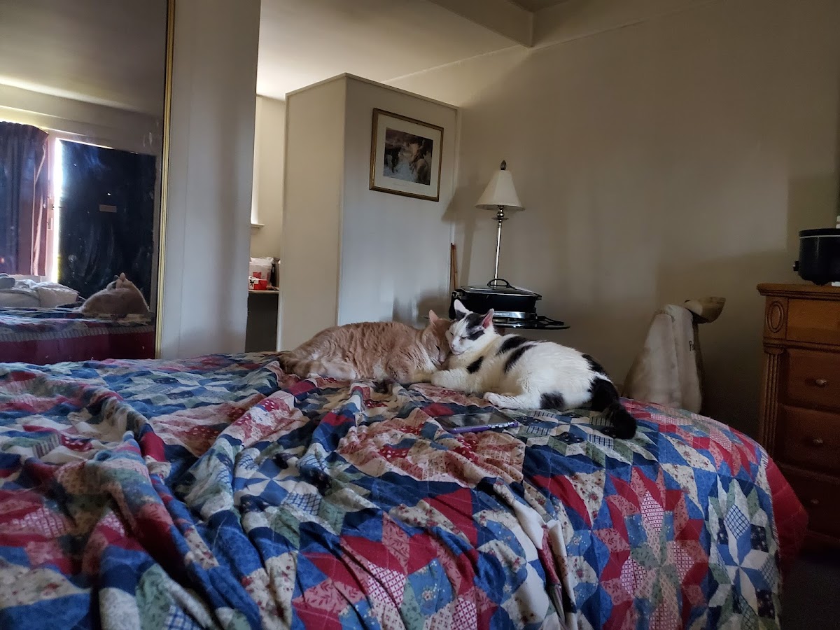 Room 2