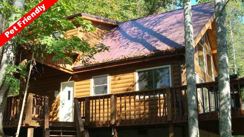 Cabins of Birch Hollow photo 3