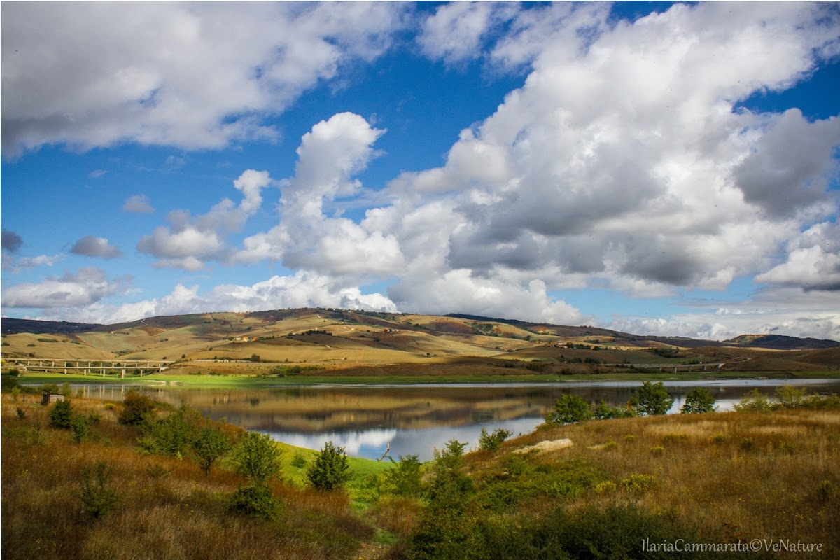 Oasi WWF Lago di Conza