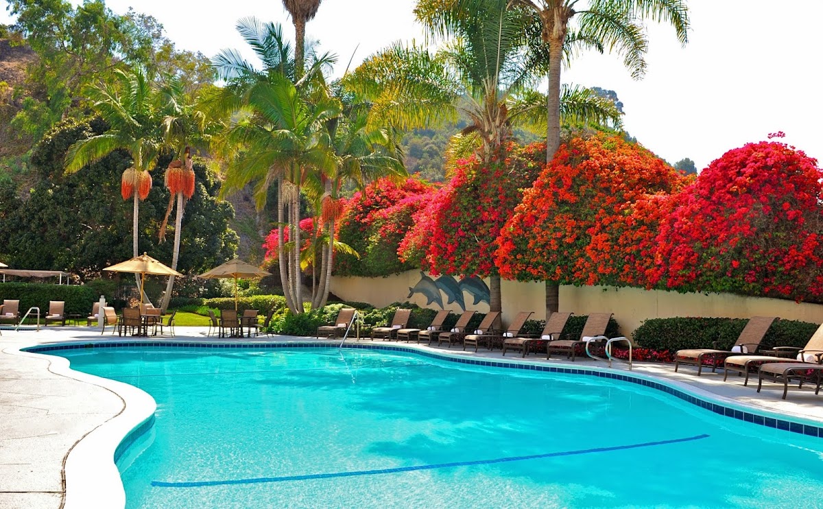 Sheraton Mission Valley San Diego Hotel photo 3